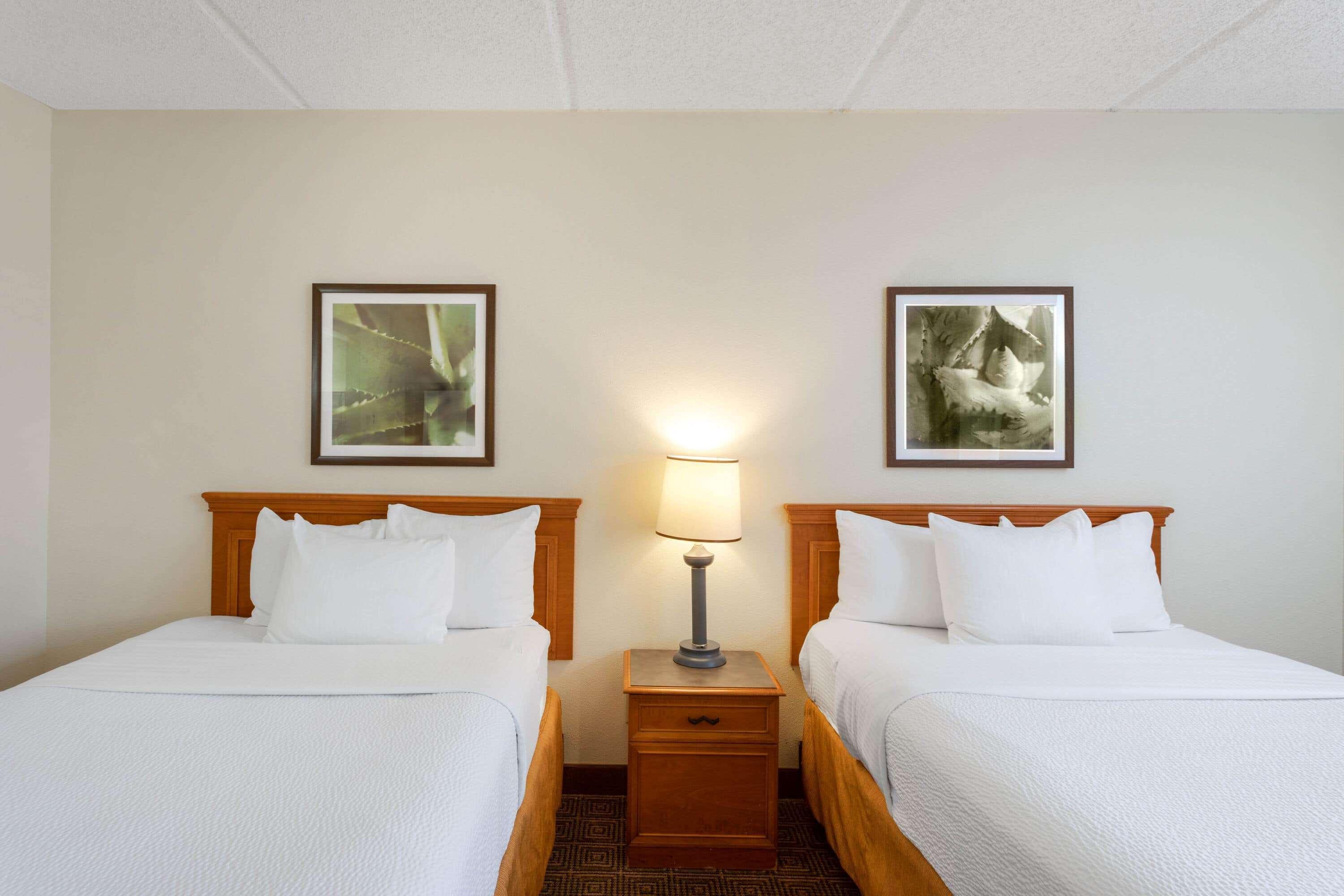 La Quinta Inn & Suites By Wyndham Jacksonville Mandarin Extérieur photo