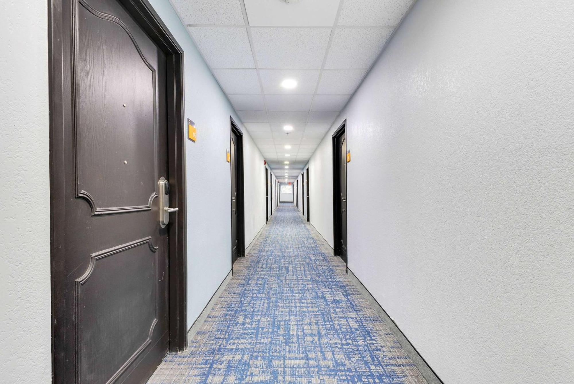 La Quinta Inn & Suites By Wyndham Jacksonville Mandarin Extérieur photo